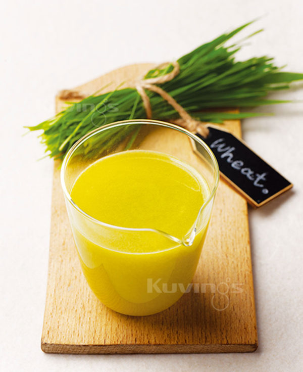 Zumo de hierba de trigo naranja – Kuvings España